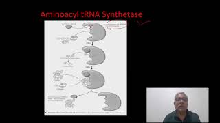 AMINOACYL tRNA SYNTHETASE ENZYME [upl. by Leoline]