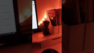 Philips Hue Lightstrip V4 shorts video  testing out the Hue Colorloop lab formula [upl. by Casilde]