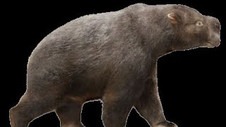 Jurassic UK 15 diprotodon [upl. by Lilia]