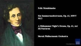 Felix Mendelssohn Ein Sommernachtstraum Op 61 MWV M13 [upl. by Nanerb]