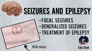 Seizures And Epilepsy  Focal And Generalized Seizures [upl. by Sasha]