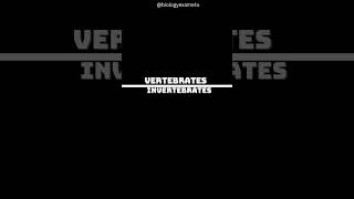 Vertebrates vs Invertebrates [upl. by Seabury899]