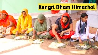 Himachali Kangri Dham 🥰  Traditional food Himachal marriage kangra [upl. by Terr]