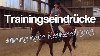 Trainingseindrücke  neue Reitbeteiligung  Sarah Sahne [upl. by Rutan]