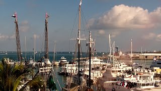 🔴 LIVE Key West Harbor at the Marker Hotel [upl. by Aeht302]