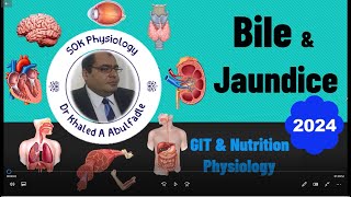 Bile amp Jaundice Physiology 52024 by Dr Khaled A Abulfadle [upl. by Pickar]