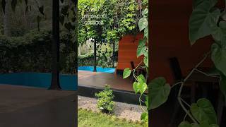 farm relaxing farmstay village pollachi tamilnadutourism tamilnadu pool vacationrental [upl. by Maer9]