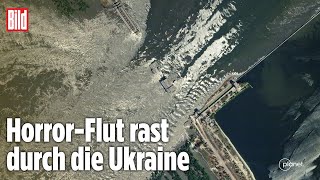 Zerstörter Staudamm in der Ukraine Wassermassen fluten über 80 Orte [upl. by Jerad]