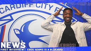 DONE DEAL  EBOU ADAMS FIRST INTERVIEW AS A BLUEBIRD [upl. by Aryc]