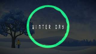 Poky  Winter Day l Melodic House l Copyright free [upl. by Purity]