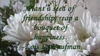 Inspirational Friendship Quotes [upl. by Nnorahs]