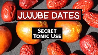 Red Jujube Fruit Secret Tonic Use of a Superfruit Variety [upl. by Jamnes]