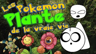 Point Culture  les Pokémon PLANTE de la vraie vie [upl. by Blaseio]