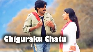 Chiguraku Chatu Full Video Song  Pawan Kalyan Meera Jasmine  Telugu Videos [upl. by Peednas]