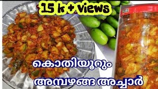 Preservatives ഓ അച്ചാറു പൊടിയോ ഒന്നും ചേർക്കാത്ത അമ്പഴങ്ങ അച്ചാർHOG PLUM PICKLE [upl. by Etem]