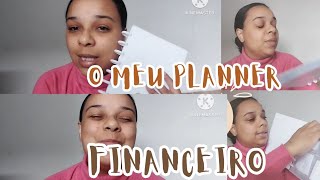 PLANNER FINANCEIRO PARA JUNTAR DINHEIRO [upl. by Nelrsa]