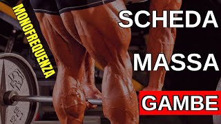 Scheda IPERTROFIA massa GAMBE  Bodybuilding in PALESTRA [upl. by Anasiul]