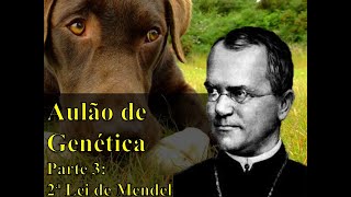 Aulão de Genética  Parte 3 2ª Lei de Mendel [upl. by Gaskins]