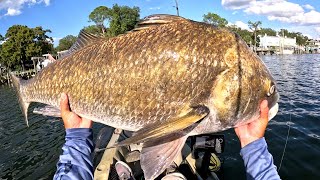 Short Kayak Fishing Trip to the Bayou [upl. by Nodgnal]