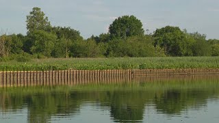 Anacostia River Splash event is postponed [upl. by Burrill]