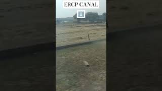 ERCP CANAL PROJECT STARTED ercp rajasthan [upl. by Neelak448]