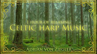 1 Hour of Relaxing Celtic Harp Music by Adrian von Ziegler [upl. by Canter]