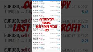 octafx copy trading last 7days profit 51 octafx octafxtrading octafxcopytrading forex [upl. by Akeylah]