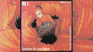 SOTD on NTS 101 New Age  Ambient  World  Electronic  Synth  Psych  Jazz Music Cassette Mix [upl. by Annaig707]