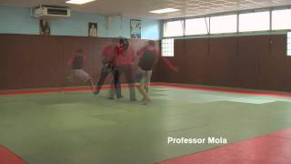 Capoeira training 7 Professor Mola [upl. by Weintrob160]