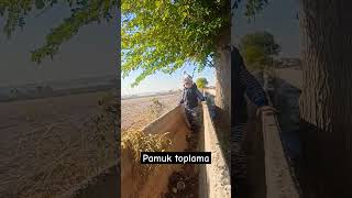 Pamuk fypシ゚viral benionecika kesfet love benioneal pamuk [upl. by Lebasy976]