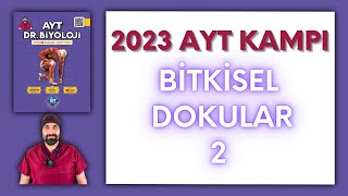 4 PROTEİN SENTEZİ  12 SINIF  AYT BİYOLOJİ DERS NOTLARI  2024 [upl. by Edahs148]