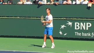 Richard Gasquet hitting in High Definition [upl. by Elwaine746]