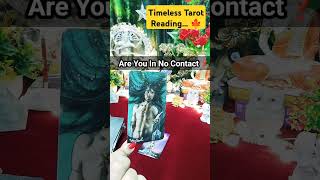 Are You In No Contact shorts tarot youtubeshorts [upl. by Lantz400]