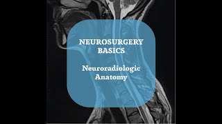 Neurosurgery Basics Lecture  Neuroradiologic Anatomy Part 5 [upl. by Innavoj220]