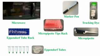 Tools Use for Gel Electrophoresis [upl. by Dnomal]