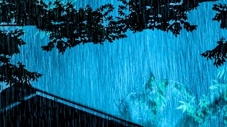 ⚡Heavy Thunderstorm Rain for Sleep Study Relaxation  Huge Rainstorm on Tin Roof amp Intense Thunder [upl. by Ahsekat]