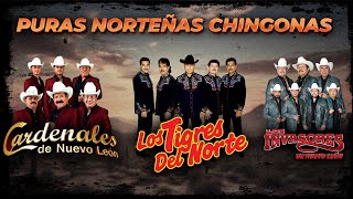 Puras Norteñas Los Mejores Éxitos de Los Tigres del Norte Cardenales de Nuevo León y Los Invasores [upl. by Perseus326]