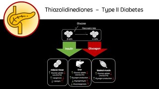 How To Say Thiazolidinediones [upl. by Moselle]