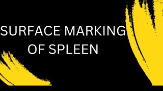 Surface marking of spleen [upl. by Anselmo925]