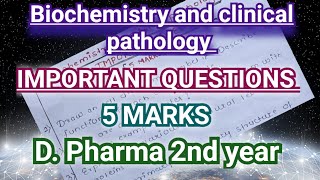 biochemistry d pharm 2nd year important questions 2024  Thepharmacourse2O [upl. by Eeladnerb]