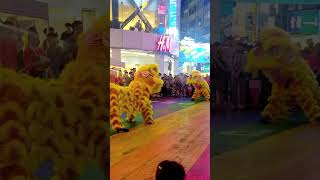 Lion Dance Performance Taiwan [upl. by Munro]