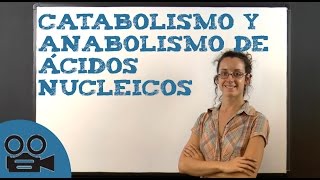 Catabolismo y anabolismo de ácidos nucleicos [upl. by Emmalynne]