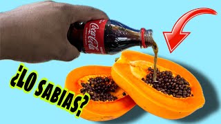 Mezcla una PAPAYA con COCACOLA y te Sorprenderás  100 EFECTIVO [upl. by Renita]