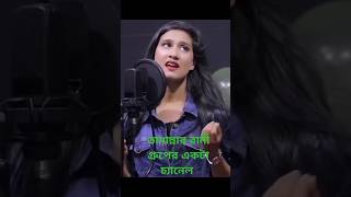 Mittha Bolar Shovab মিথ্যা বলার স্বভাব একসাথে ঘুমাবো বলে আজও জেগে রই [upl. by Alul]