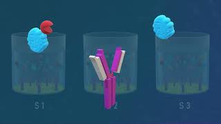 Competitive ELISA Test  Animated Video [upl. by Eanyl121]