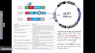 Gene therapy using retrovirus vector [upl. by Ethyl208]