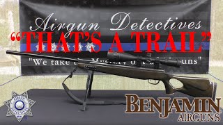 Benjamin Trail NP XL Magnum quotClassicquot Full Review by Airgun Detectives [upl. by Dich]