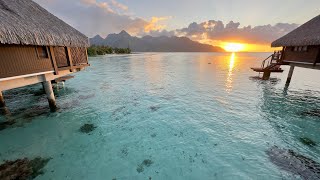 Hilton Moorea arrival Day 1 and 2 [upl. by Neellok]