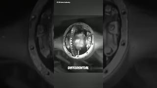 Differential System ⚙️ [upl. by Stier]