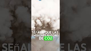 La capacidad de los sumideros de carbono está colapsando una nueva alerta climática [upl. by Rillis746]